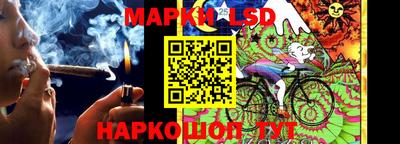 ALPHA PVP Гатчина