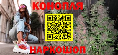 ALPHA PVP Гатчина