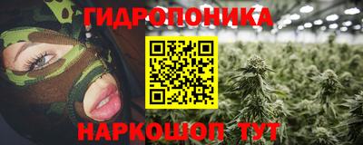 ALPHA PVP Гатчина